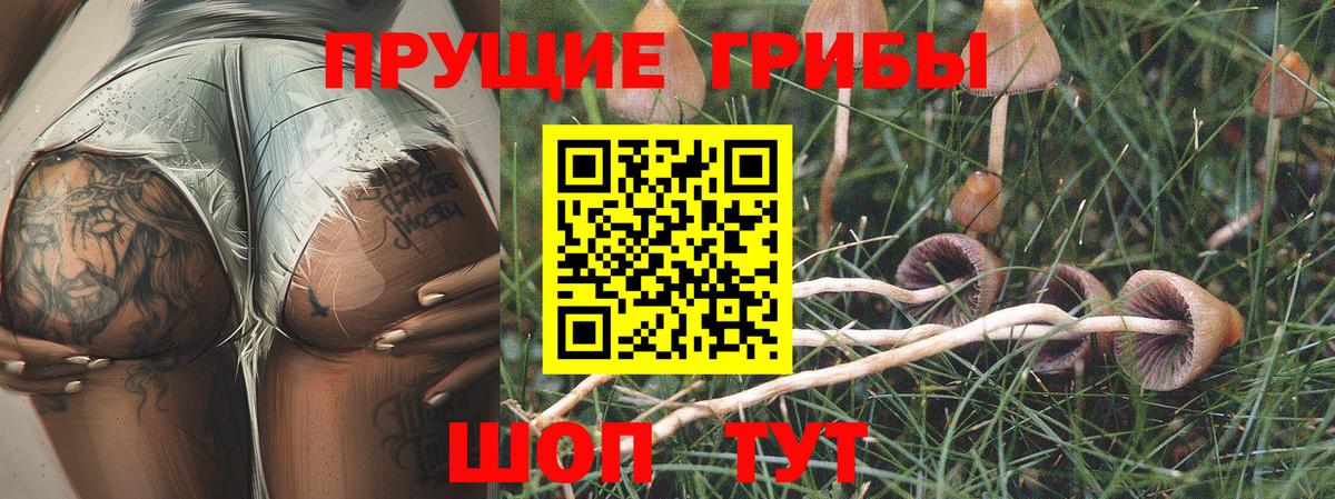 Псилоцибиновые грибы Psilocybine cubensis  Вход с VPN  магазин  наркотиков  Галлюциногенные грибы прущие грибы  Ирбит 
